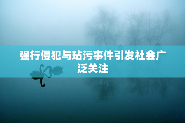强行侵犯与玷污事件引发社会广泛关注