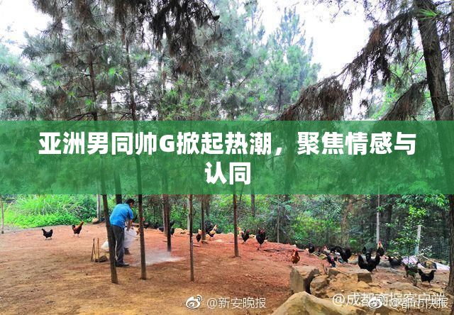 亚洲男同帅G掀起热潮，聚焦情感与认同