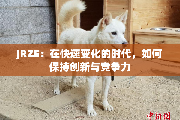 JRZE：在快速变化的时代，如何保持创新与竞争力