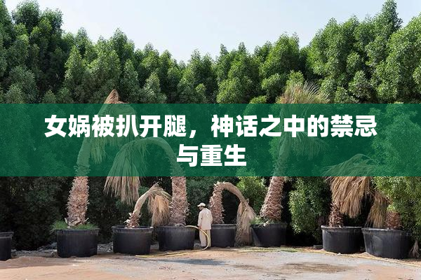 女娲被扒开腿，神话之中的禁忌与重生