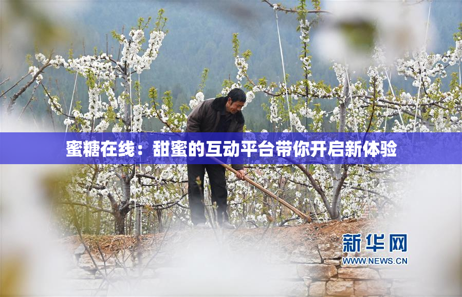 蜜糖在线：甜蜜的互动平台带你开启新体验