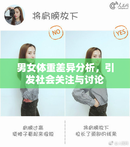 男女体重差异分析，引发社会关注与讨论