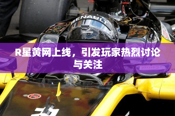 R星黄网上线，引发玩家热烈讨论与关注