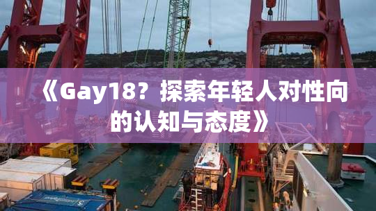 《Gay18？探索年轻人对性向的认知与态度》