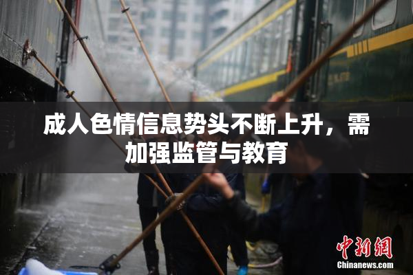 成人色情信息势头不断上升，需加强监管与教育