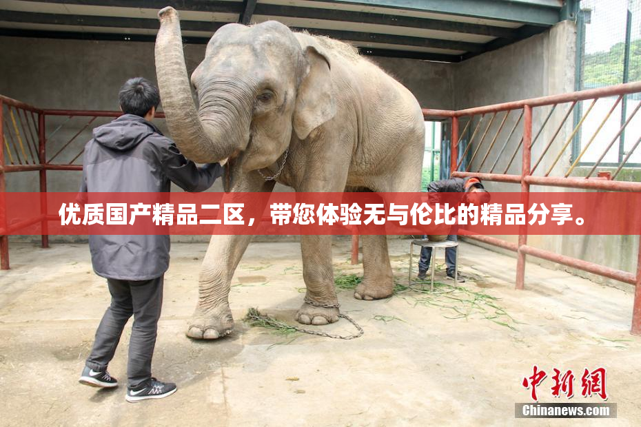 优质国产精品二区，带您体验无与伦比的精品分享。