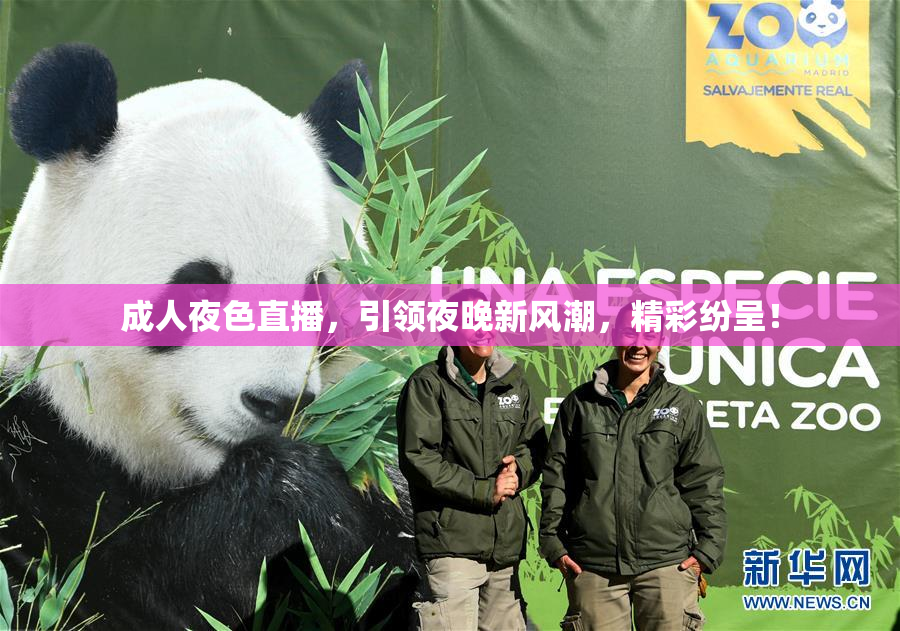 成人夜色直播，引领夜晚新风潮，精彩纷呈！