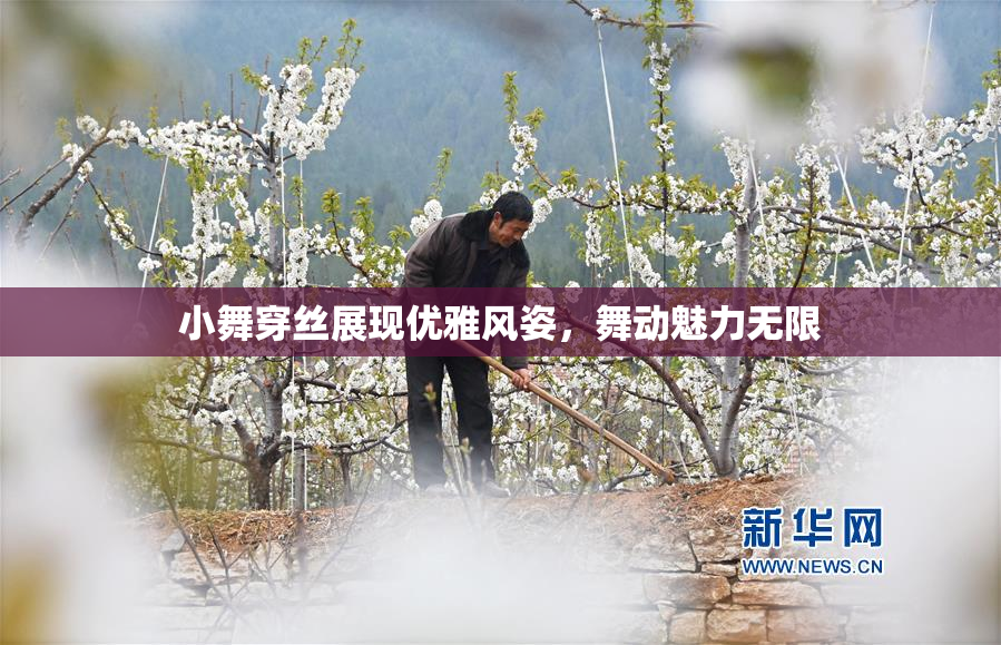 小舞穿丝展现优雅风姿，舞动魅力无限