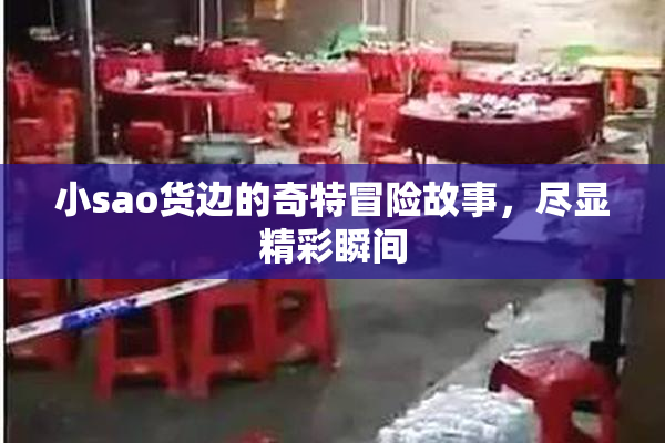 小sao货边的奇特冒险故事，尽显精彩瞬间