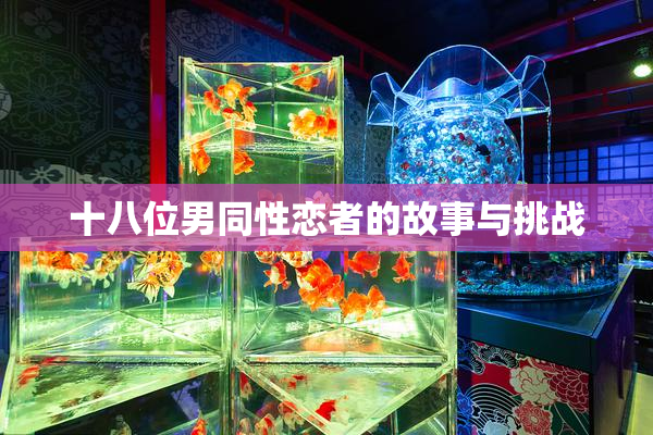 十八位男同性恋者的故事与挑战