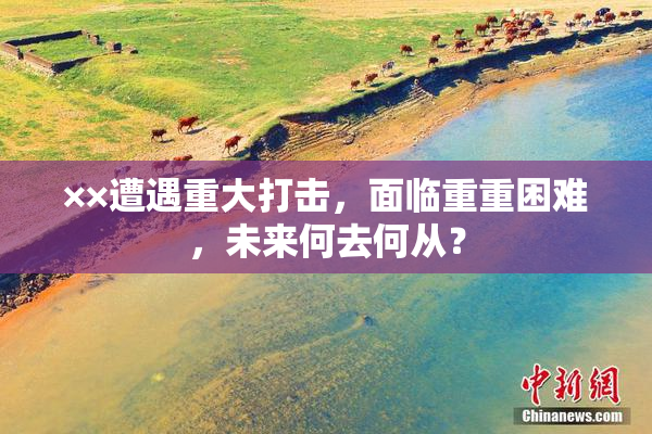 ××遭遇重大打击，面临重重困难，未来何去何从？