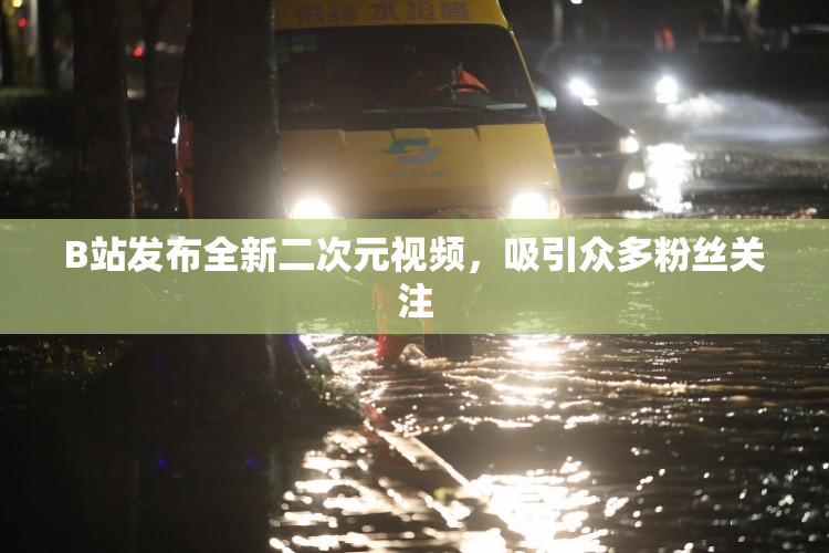 B站发布全新二次元视频，吸引众多粉丝关注