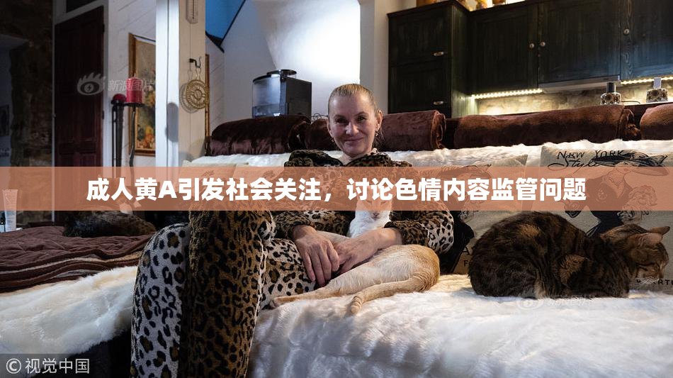成人黄A引发社会关注，讨论色情内容监管问题