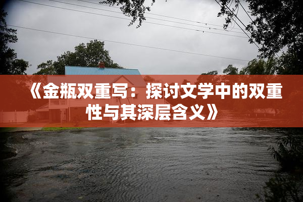 《金瓶双重写：探讨文学中的双重性与其深层含义》
