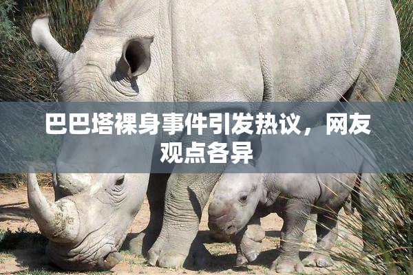 巴巴塔裸身事件引发热议，网友观点各异