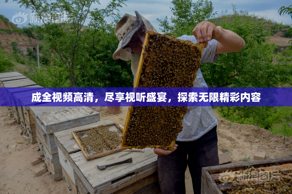 成全视频高清，尽享视听盛宴，探索无限精彩内容