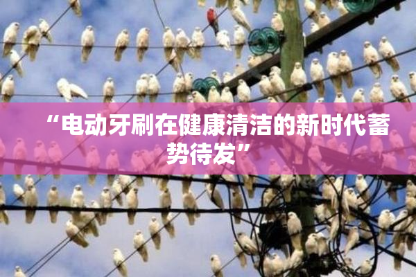 “电动牙刷在健康清洁的新时代蓄势待发”
