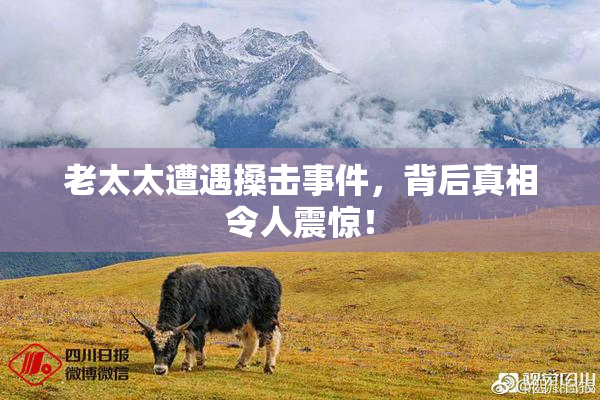 老太太遭遇搡击事件，背后真相令人震惊！
