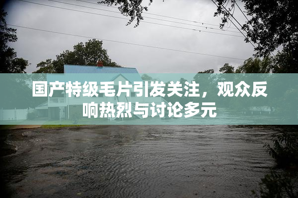 国产特级毛片引发关注，观众反响热烈与讨论多元