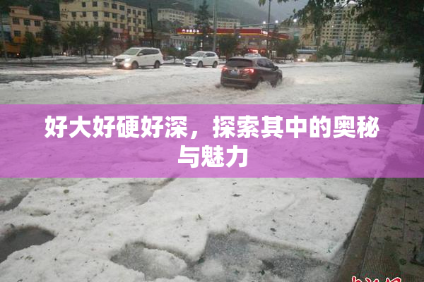 好大好硬好深，探索其中的奥秘与魅力