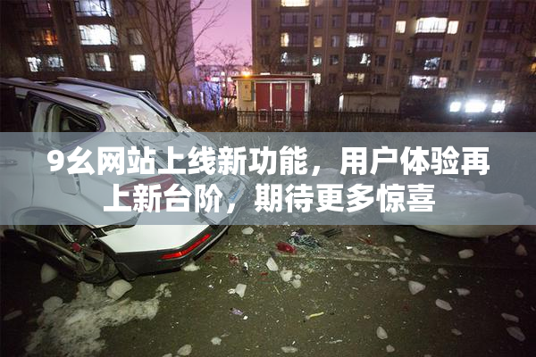 9幺网站上线新功能，用户体验再上新台阶，期待更多惊喜