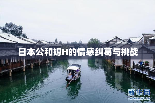 日本公和媳H的情感纠葛与挑战