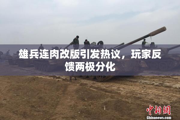 雄兵连肉改版引发热议，玩家反馈两极分化