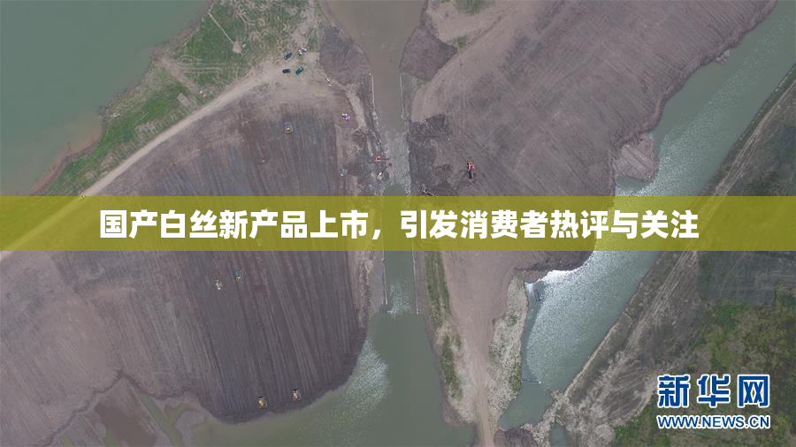 国产白丝新产品上市，引发消费者热评与关注