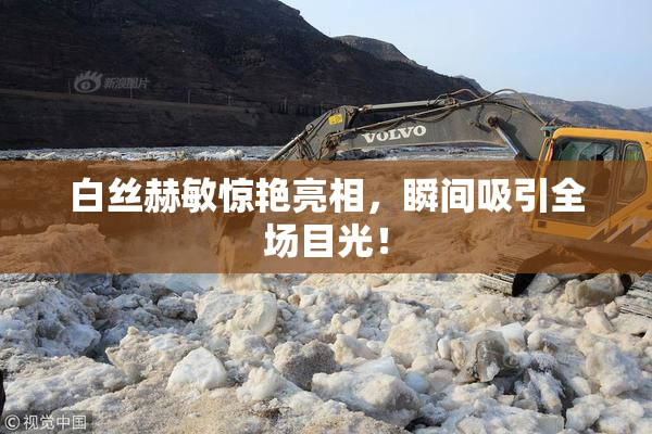 白丝赫敏惊艳亮相，瞬间吸引全场目光！