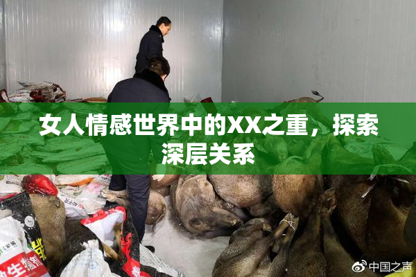 女人情感世界中的XX之重，探索深层关系