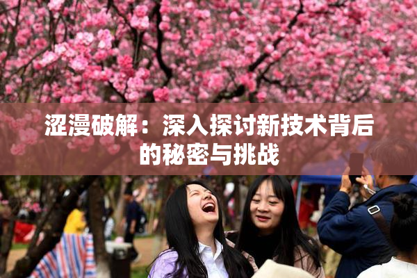 涩漫破解：深入探讨新技术背后的秘密与挑战