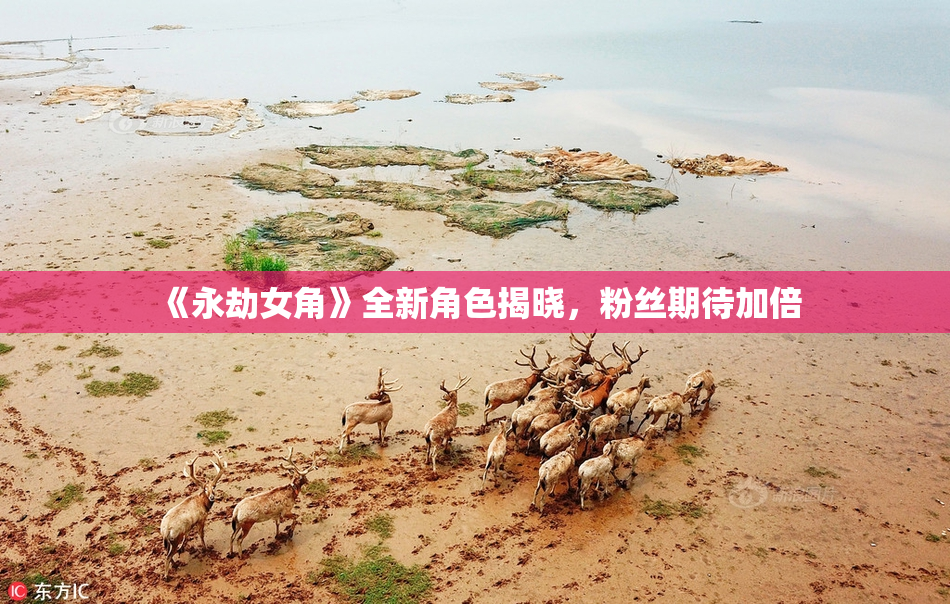 《永劫女角》全新角色揭晓，粉丝期待加倍