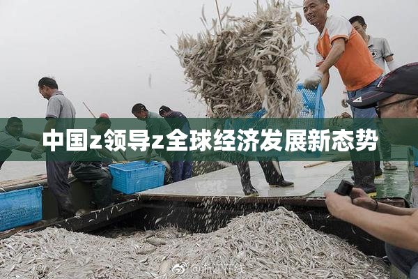 中国z领导z全球经济发展新态势