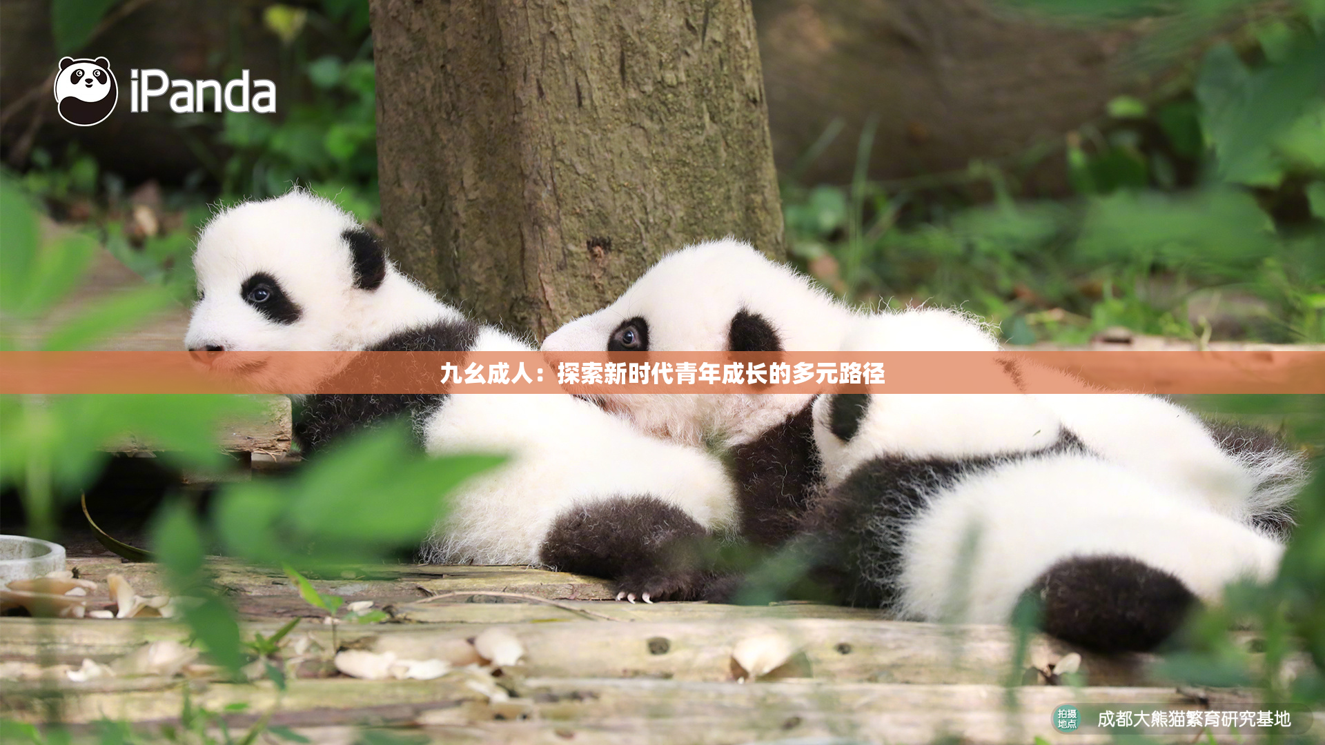 九幺成人：探索新时代青年成长的多元路径