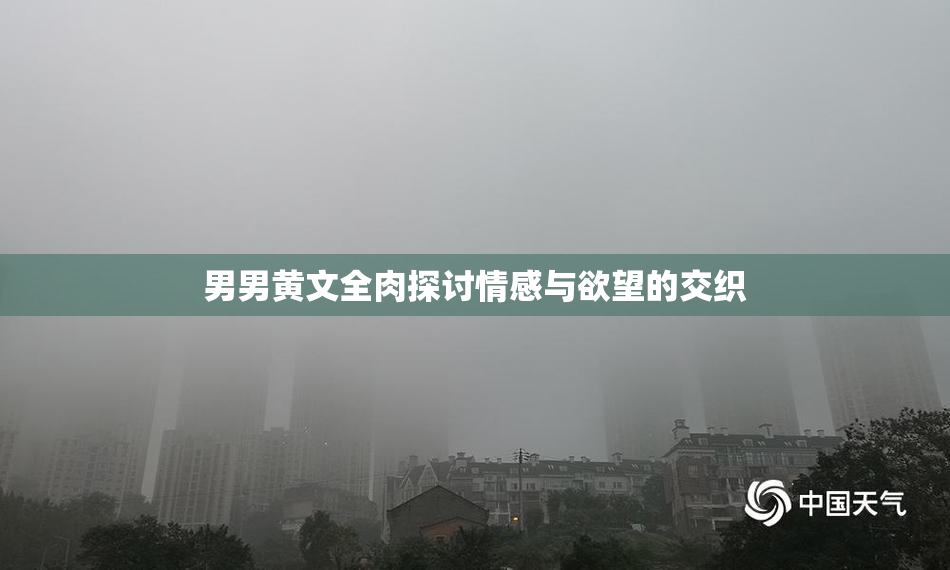 男男黄文全肉探讨情感与欲望的交织
