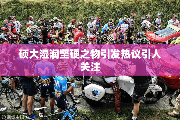 硕大湿润坚硬之物引发热议引人关注