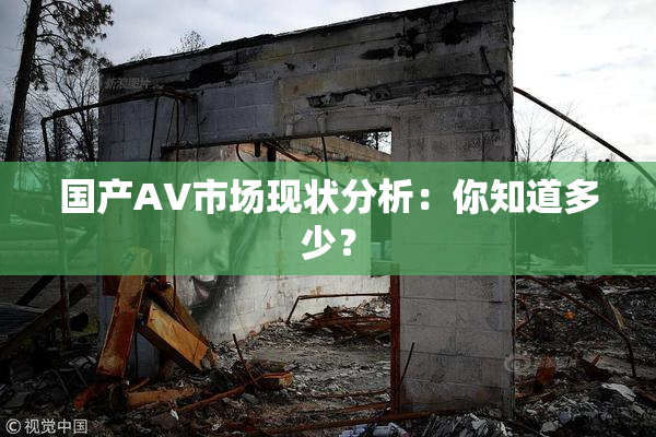 国产AV市场现状分析：你知道多少？