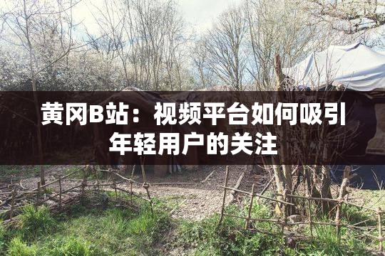 黄冈B站：视频平台如何吸引年轻用户的关注