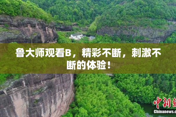 鲁大师观看B，精彩不断，刺激不断的体验！