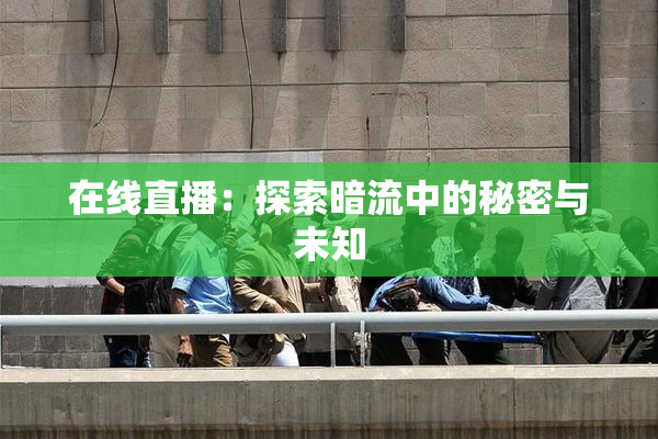 在线直播：探索暗流中的秘密与未知