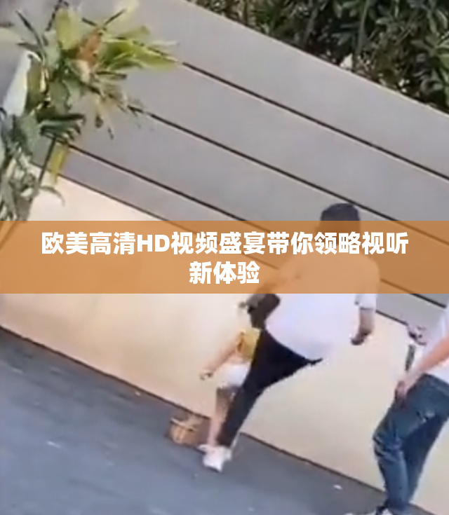 欧美高清HD视频盛宴带你领略视听新体验