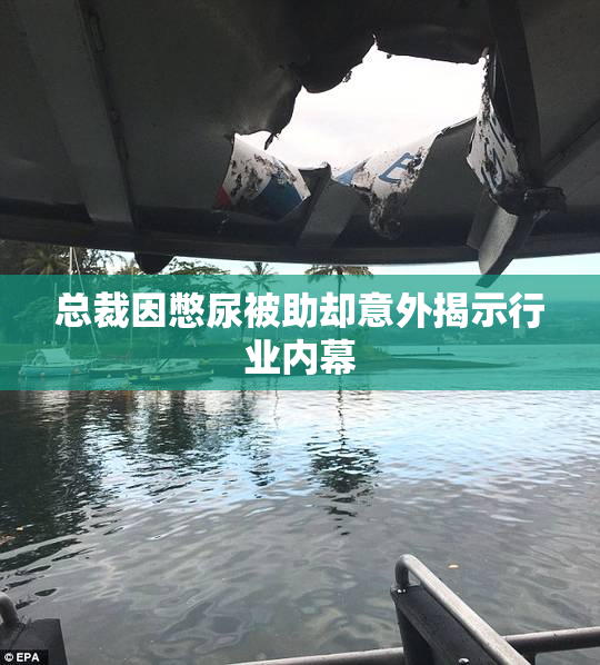 总裁因憋尿被助却意外揭示行业内幕