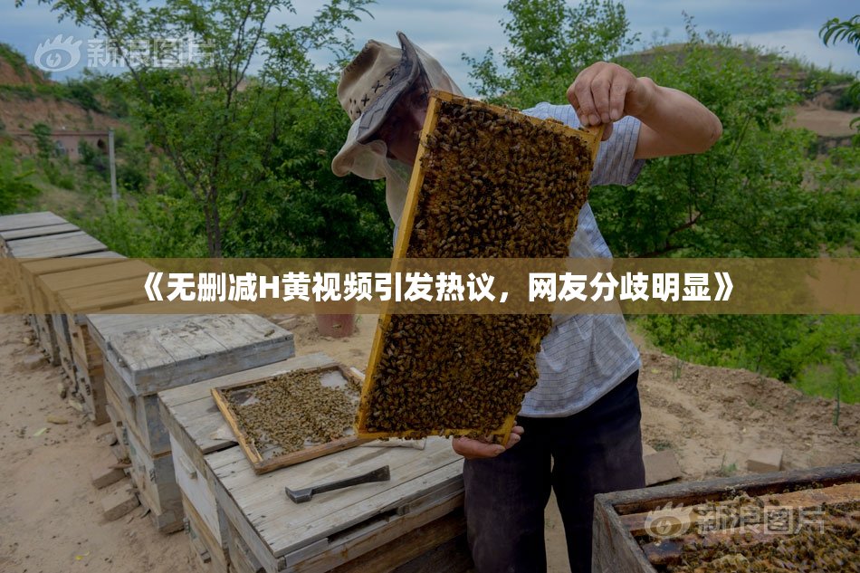 《无删减H黄视频引发热议，网友分歧明显》