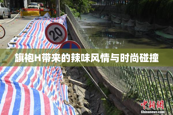 旗袍H带来的辣味风情与时尚碰撞