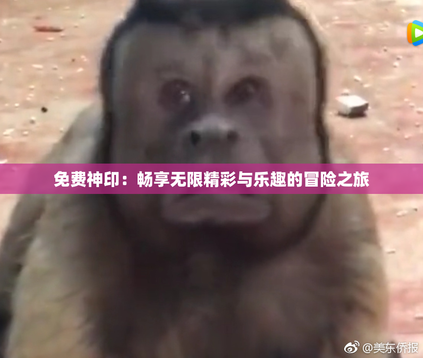 免费神印：畅享无限精彩与乐趣的冒险之旅