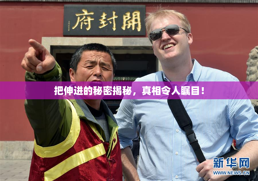 把伸进的秘密揭秘，真相令人瞩目！