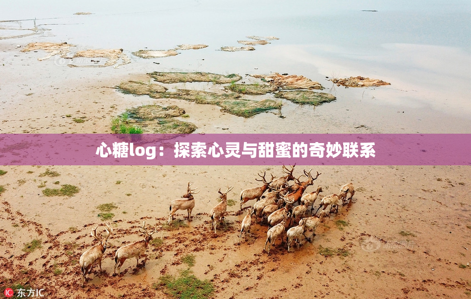 心糖log：探索心灵与甜蜜的奇妙联系
