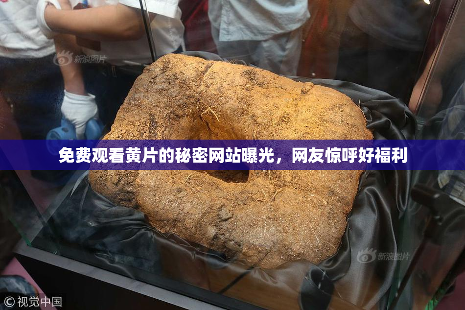 免费观看黄片的秘密网站曝光，网友惊呼好福利