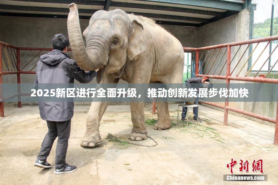 2025新区进行全面升级，推动创新发展步伐加快