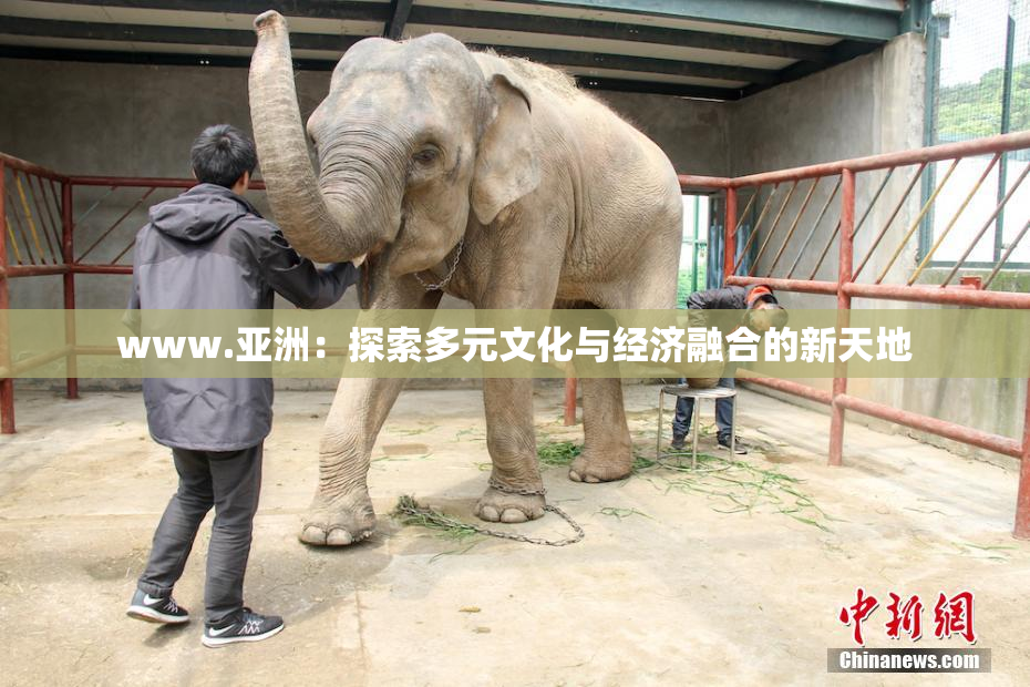 www.亚洲：探索多元文化与经济融合的新天地